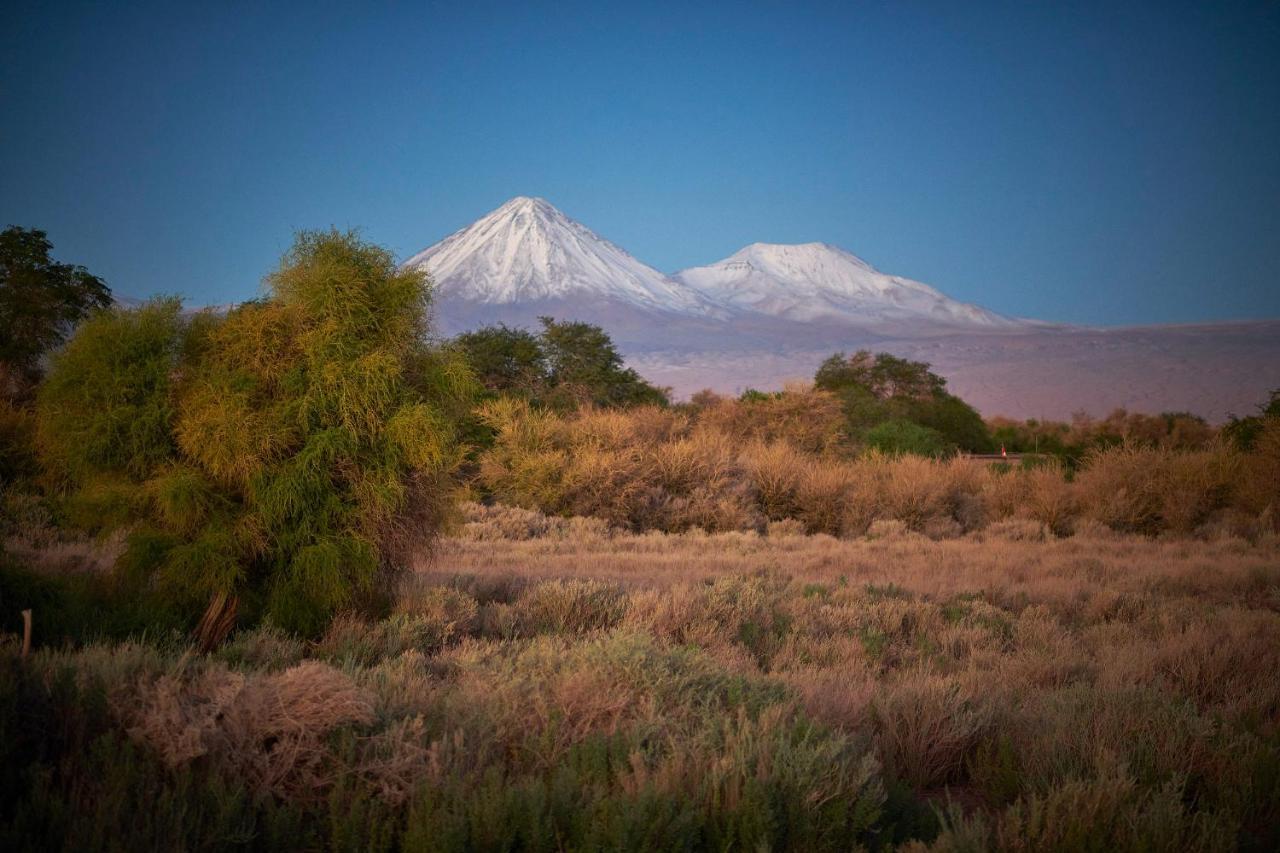 Casa Chincol Pensionat San Pedro de Atacama Eksteriør billede