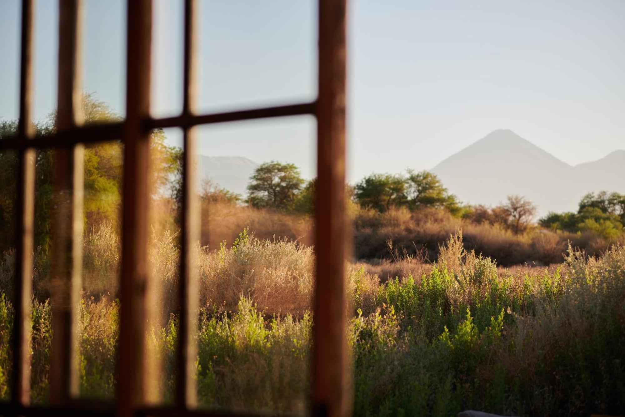 Casa Chincol Pensionat San Pedro de Atacama Eksteriør billede